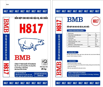 BMB-H817
