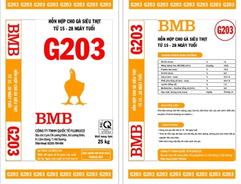 BMB-G203